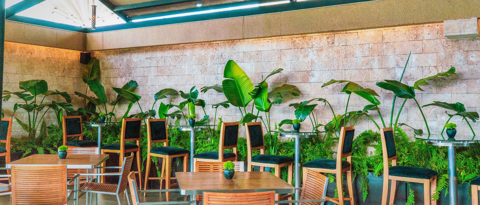 Sarabi upper deck.jpg